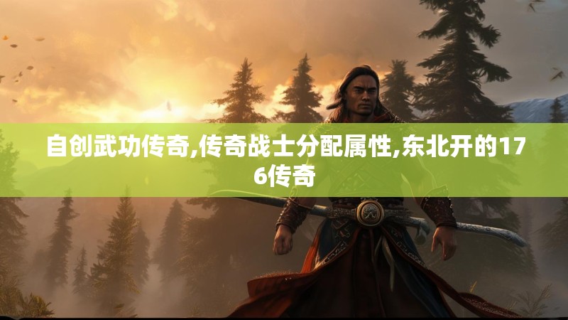 自创武功传奇,传奇战士分配属性,东北开的176传奇