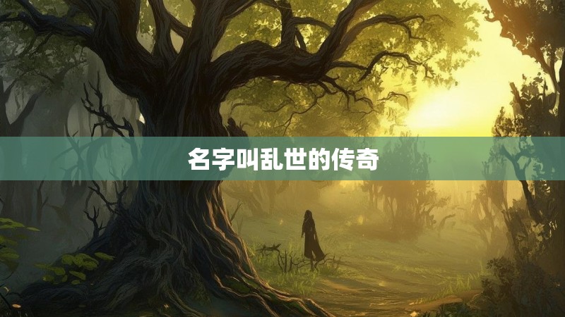 名字叫乱世的传奇