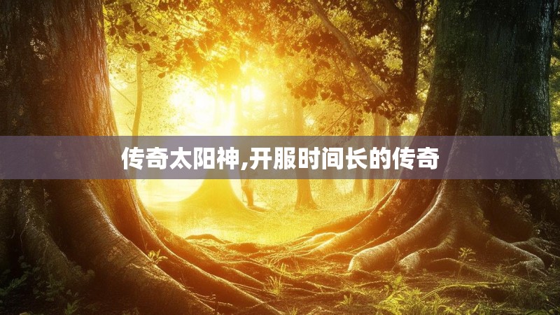 传奇太阳神,开服时间长的传奇