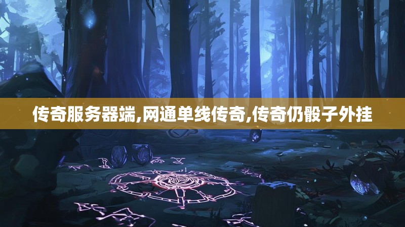 传奇服务器端,网通单线传奇,传奇仍骰子外挂