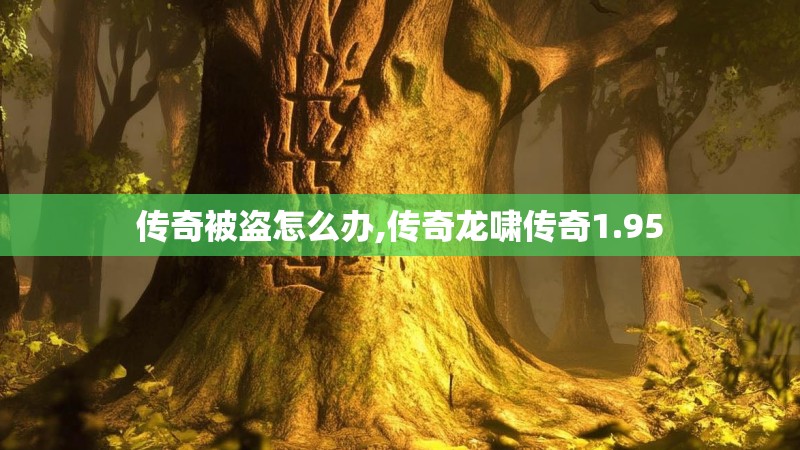 传奇被盗怎么办,传奇龙啸传奇1.95