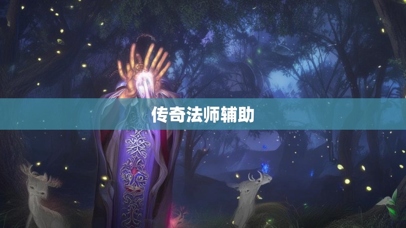 传奇法师辅助