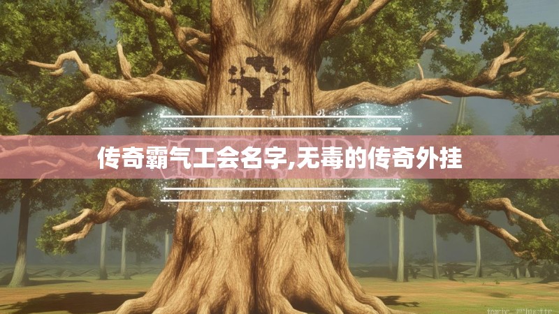 传奇霸气工会名字,无毒的传奇外挂
