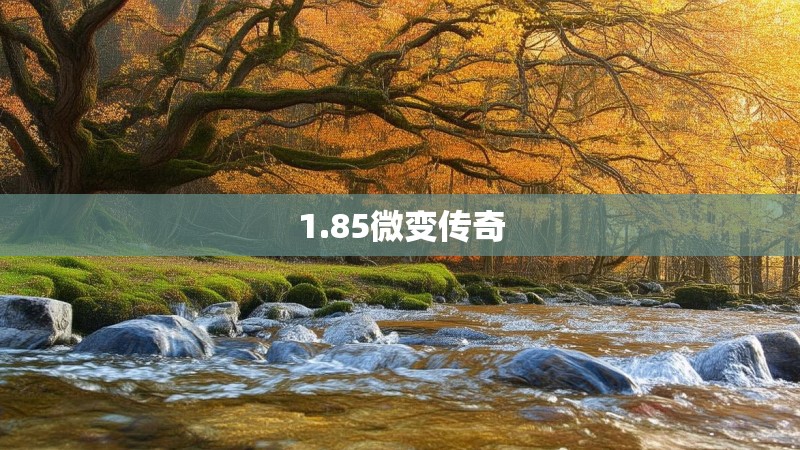 1.85微变传奇
