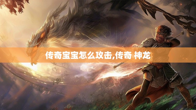 传奇宝宝怎么攻击,传奇 神龙