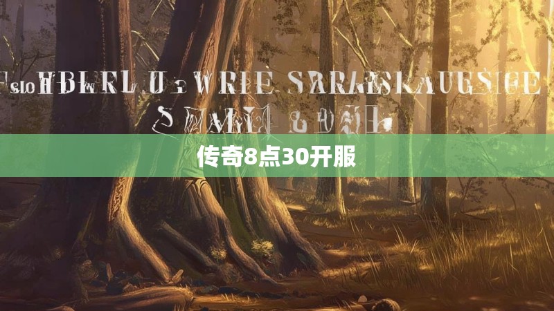 传奇8点30开服