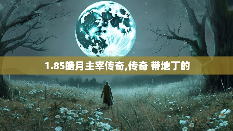 1.85皓月主宰传奇,传奇 带地丁的