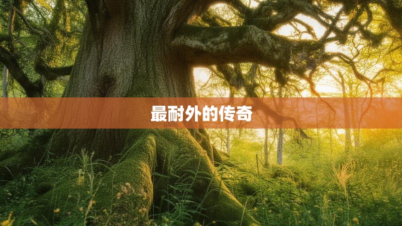 最耐外的传奇