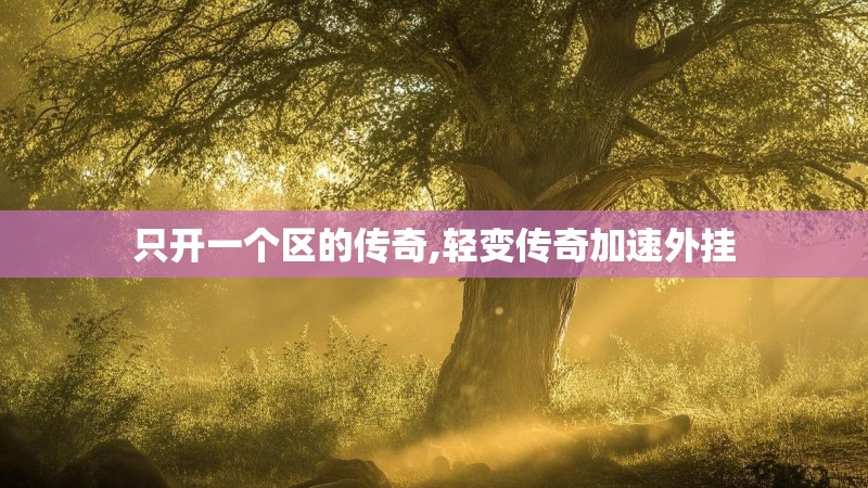 只开一个区的传奇,轻变传奇加速外挂