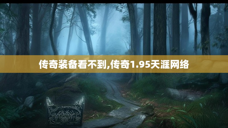 传奇装备看不到,传奇1.95天涯网络