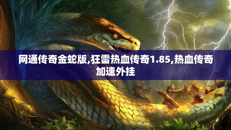 网通传奇金蛇版,狂雷热血传奇1.85,热血传奇加速外挂