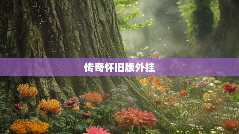 传奇怀旧版外挂