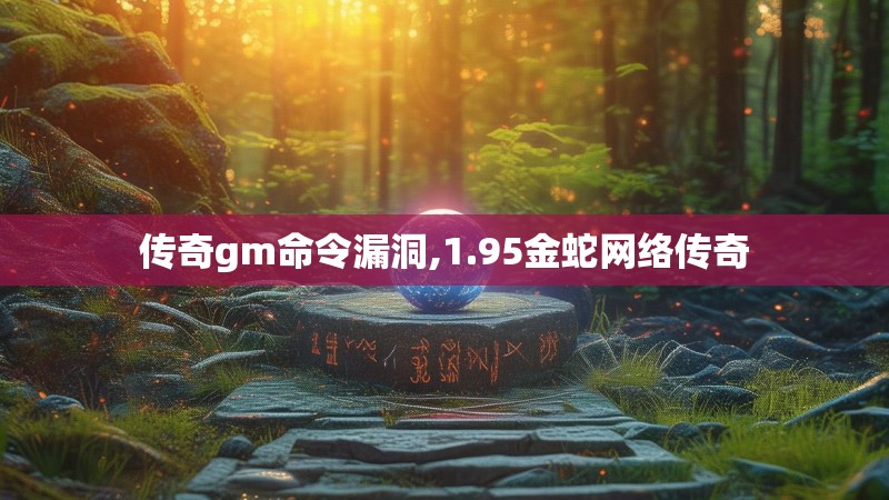 传奇gm命令漏洞,1.95金蛇网络传奇
