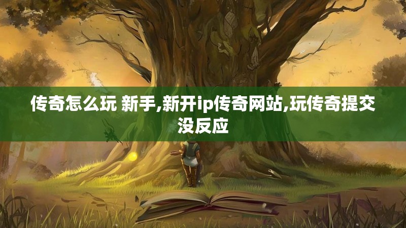 传奇怎么玩 新手,新开ip传奇网站,玩传奇提交没反应