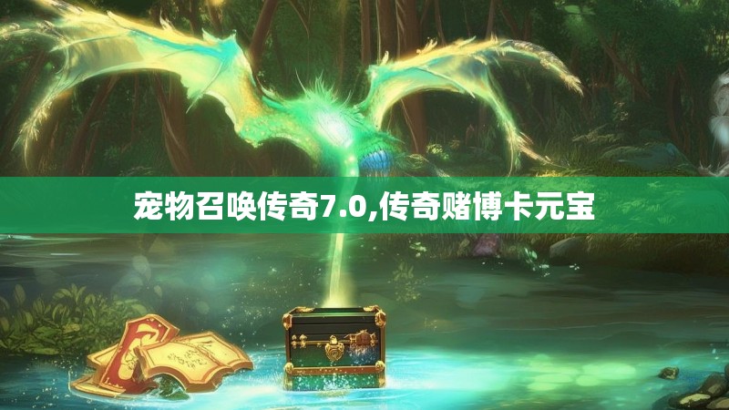 宠物召唤传奇7.0,传奇赌博卡元宝