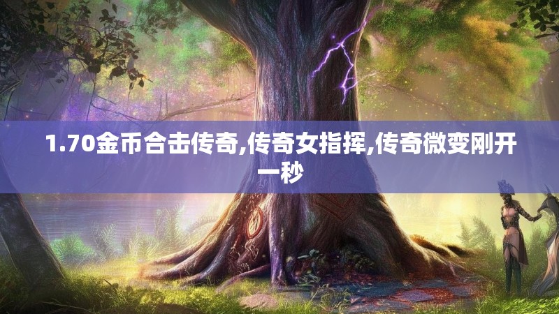 1.70金币合击传奇,传奇女指挥,传奇微变刚开一秒