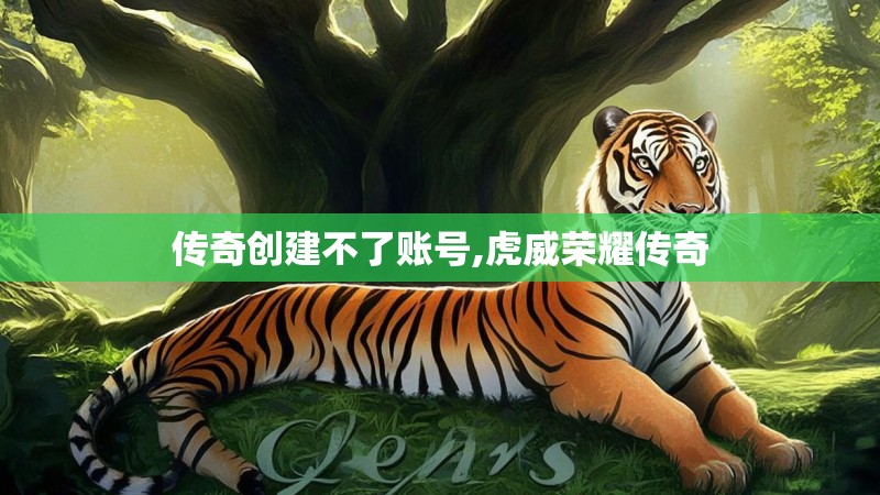 传奇创建不了账号,虎威荣耀传奇