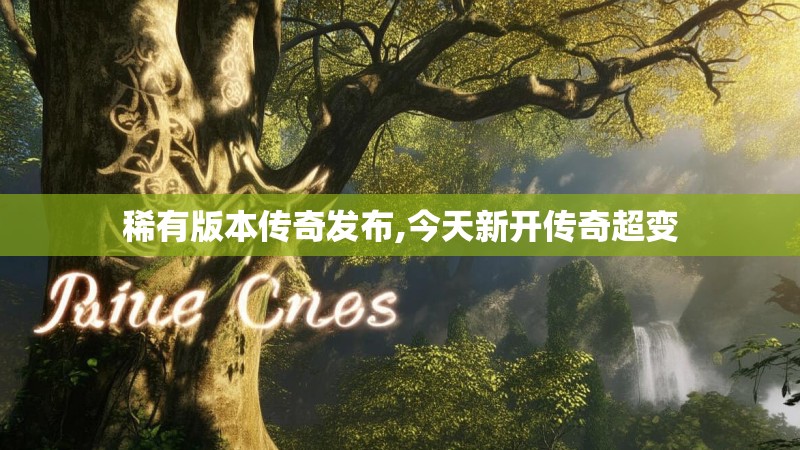稀有版本传奇发布,今天新开传奇超变