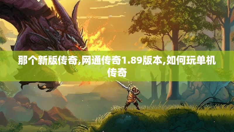 那个新版传奇,网通传奇1.89版本,如何玩单机传奇