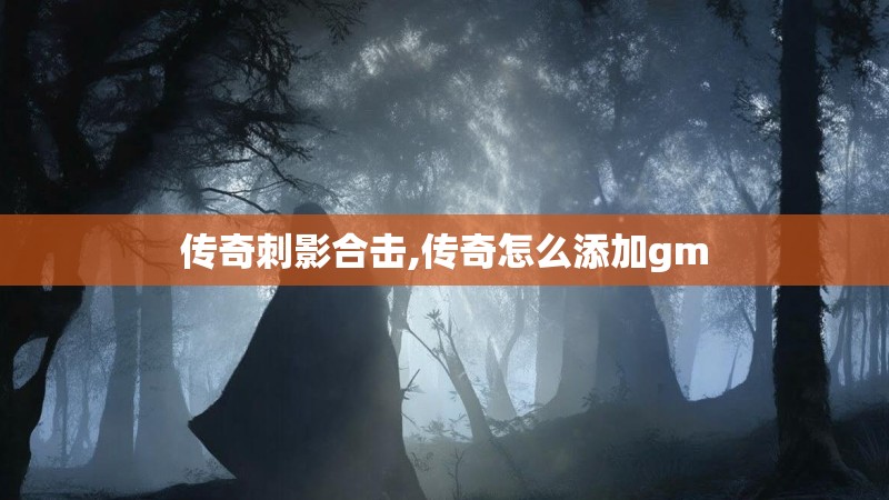 传奇刺影合击,传奇怎么添加gm