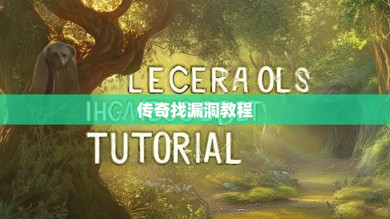 传奇找漏洞教程