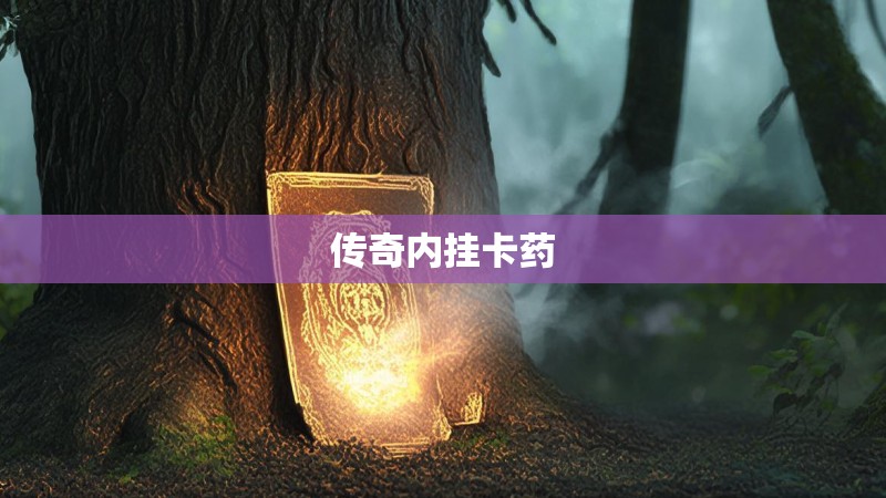 传奇内挂卡药