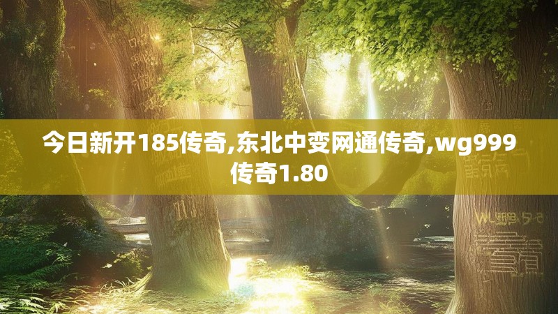 今日新开185传奇,东北中变网通传奇,wg999传奇1.80