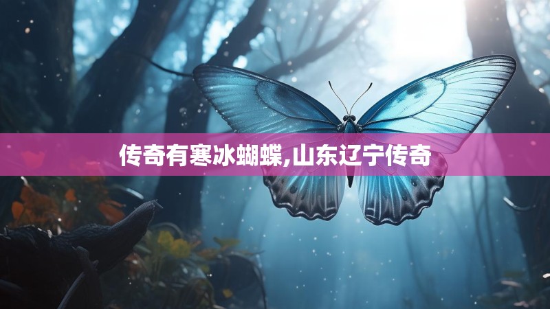 传奇有寒冰蝴蝶,山东辽宁传奇
