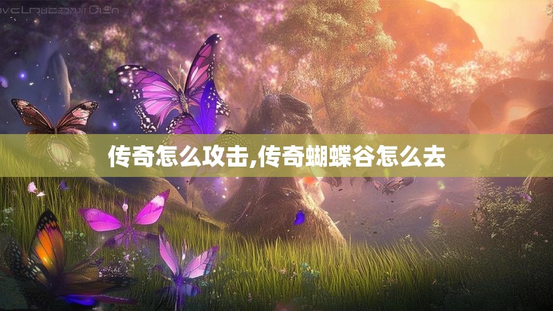 传奇怎么攻击,传奇蝴蝶谷怎么去