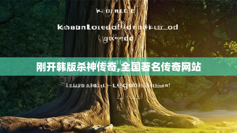 刚开韩版杀神传奇,全国著名传奇网站