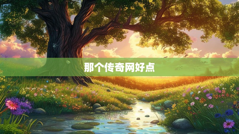 那个传奇网好点