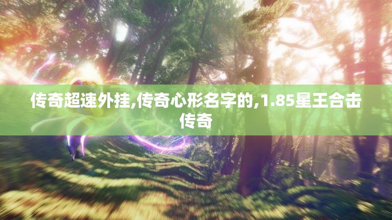 传奇超速外挂,传奇心形名字的,1.85星王合击传奇
