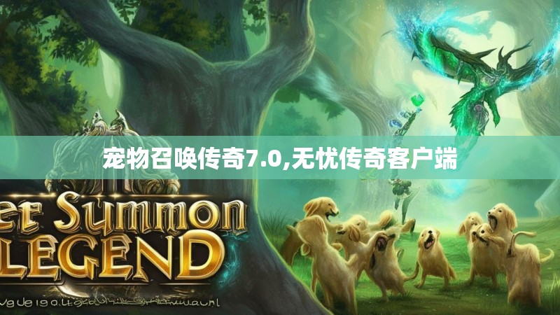 宠物召唤传奇7.0,无忧传奇客户端
