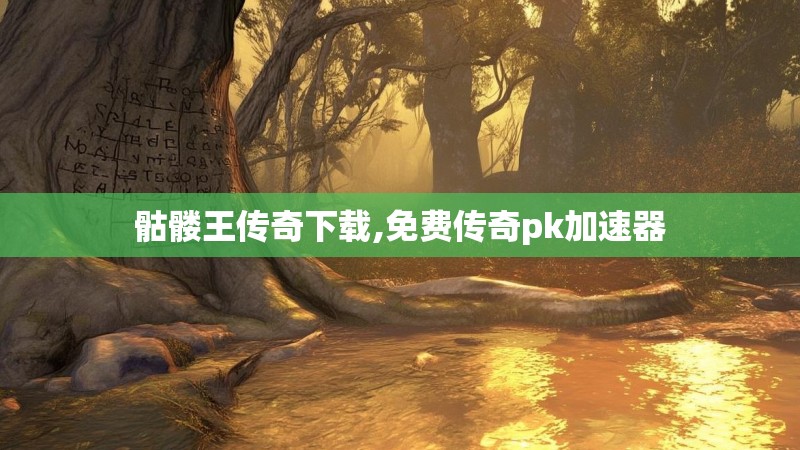 骷髅王传奇下载,免费传奇pk加速器