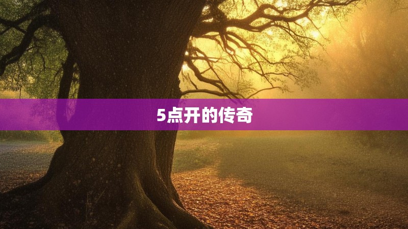 5点开的传奇