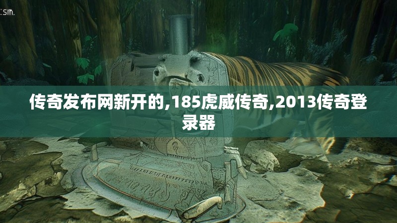 传奇发布网新开的,185虎威传奇,2013传奇登录器