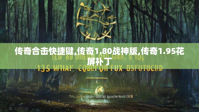 传奇合击快捷键,传奇1.80战神版,传奇1.95花屏补丁
