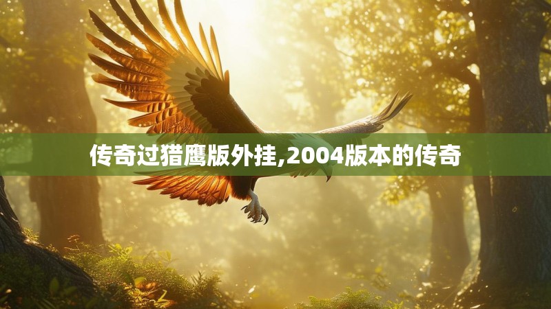 传奇过猎鹰版外挂,2004版本的传奇