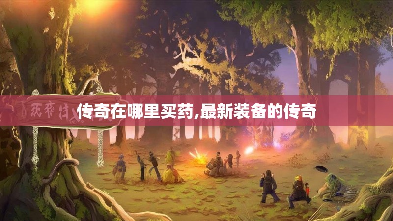 传奇在哪里买药,最新装备的传奇