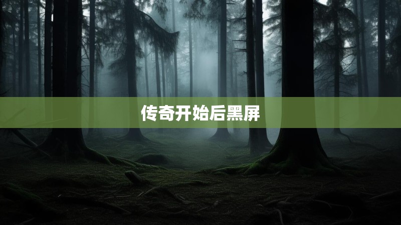 传奇开始后黑屏