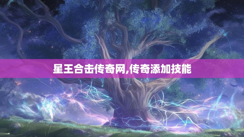 星王合击传奇网,传奇添加技能