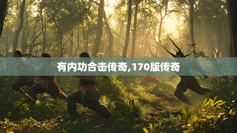 有内功合击传奇,170版传奇