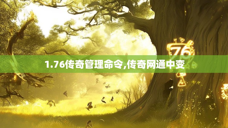 1.76传奇管理命令,传奇网通中变