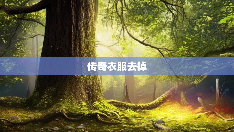 传奇衣服去掉