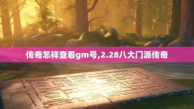 传奇怎样查看gm号,2.28八大门派传奇