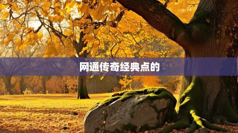 网通传奇经典点的