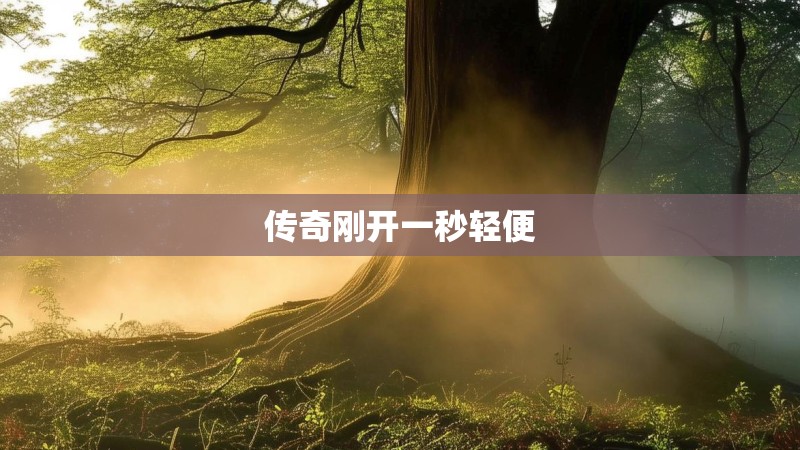 传奇刚开一秒轻便