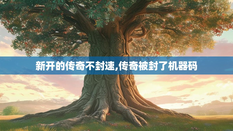 新开的传奇不封速,传奇被封了机器码