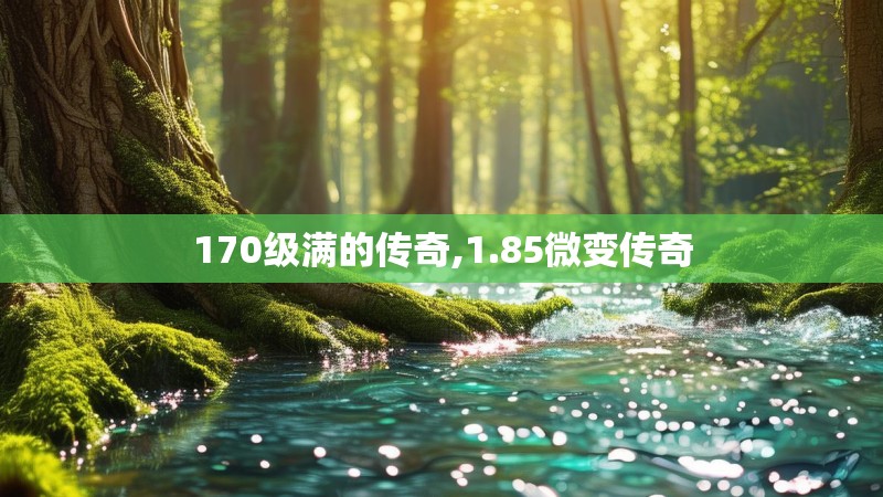 170级满的传奇,1.85微变传奇