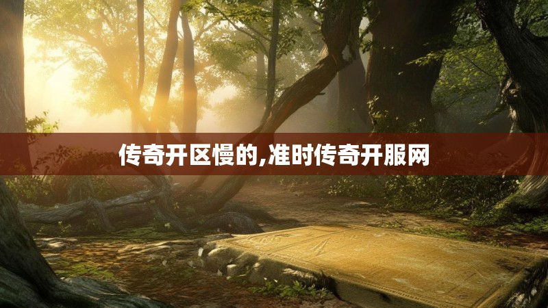 传奇开区慢的,准时传奇开服网